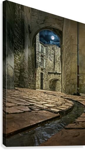 Moon over St. Remy  Canvas Print