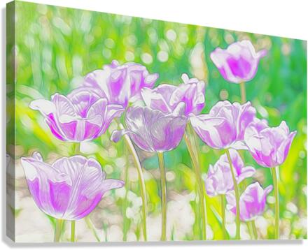 Purple tulip fantasy  Canvas Print