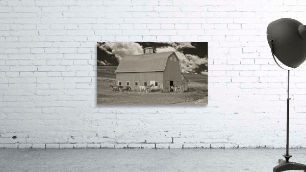 Washington horse barn by Jim Radford