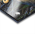 Heron in the morning Acrylic print