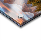 Moose in the Morning Acrylic print