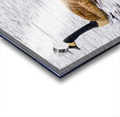 Swimming lessons Acrylic print