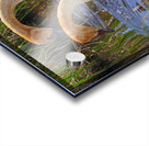 Two swans a swimming Acrylic print