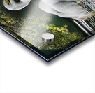 Just lunch  Acrylic print