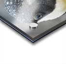 No sweat  Acrylic print