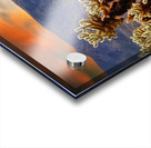 Prickly teddybear cholla Acrylic print