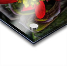 Euphorbia on Display Acrylic print