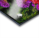 Flowers of color Acrylic print