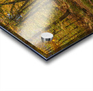 Forest Reflections Acrylic print