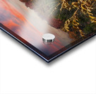 Burning Barn of Autumn Acrylic print