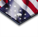 Proud Bird Acrylic print