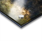 The Milky Way Acrylic print