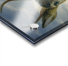 Feed me   Acrylic print