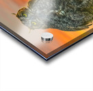 Owl standing watch Acrylic print