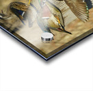 Wood duck squabble Acrylic print