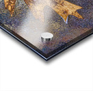 Oakleaf on ice Acrylic print