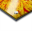 Multicolored Dahlia Acrylic print