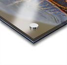 PaintedTurtle Acrylic print