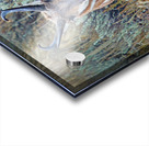 Pronghorn Antelope Acrylic print