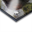 Salmon fishing Acrylic print