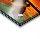 Sandhill Cranes at the Bosque Acrylic print