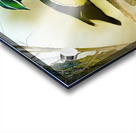 Wood duck Acrylic print