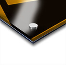 Tree Swallow Acrylic print