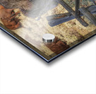 Bison leaping Acrylic print