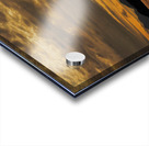 Sandhill cranes over Alaska Acrylic print