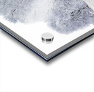 Hoarfrost in Minnesota Acrylic print