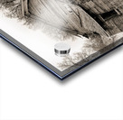 Abandoned farm Acrylic print