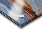  Klamath Refuge Hawk Acrylic print