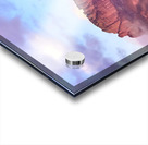 Sedona redrocks Acrylic print