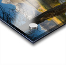 Abandoned Mormon Row Acrylic print