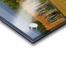 Aspen on display Acrylic print