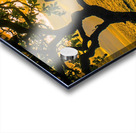 Sunset at Kona Acrylic print