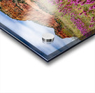 Owls Clover in Sedona Acrylic print