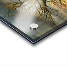 The eagle has landed Acrylic print