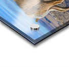 Badlands bighorn sheep Acrylic print