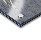 Three point landing  Acrylic print