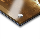 Sandhill crane migration Acrylic print