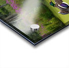 Mallard in flower pond Acrylic print