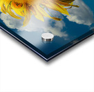 Sunny flowers   Acrylic print