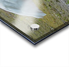 Catfish dinner for egret Acrylic print