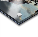 Eagle on nest Acrylic print