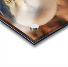 Great blue heron Acrylic print