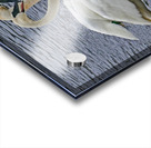 Hearty Swans Acrylic print