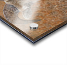 The look- bighorn sheep Acrylic print