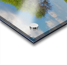 Giraffes under umbrella Acrylic print