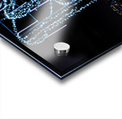 Aboretum Winter Lights Acrylic print